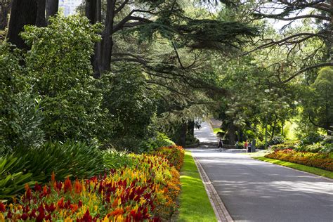 fitzroy gardens tours melbourne.